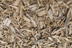 biomass boilers Barncluith